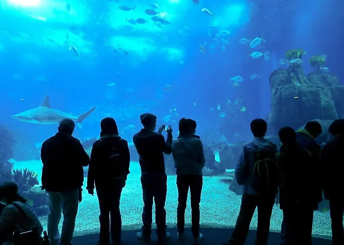 Διαμέρισμα Casa Gil *